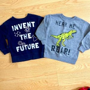 2 Graphic Sweatshirts